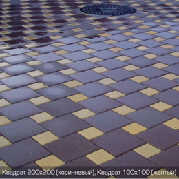 Тротуарна плитка Квадрат Великий (200х200). Золотий Мандарин