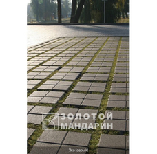 Изображение 11 Тротуарна плитка Решітка Еко. Золотий Мандарин