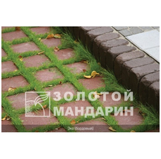 Изображение 10 Тротуарная плитка Решетка Эко. Золотой Мандарин