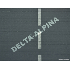 Изображение Delta-Alpina