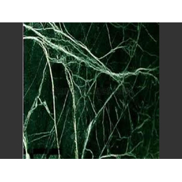 Натуральный камень мрамор Spider Green