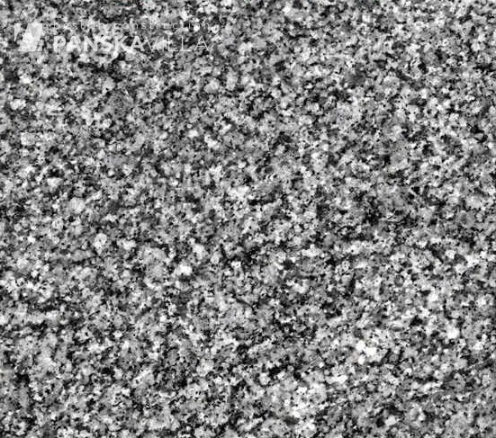 Натуральный камень Гранит серый GG13 Западно-Танский