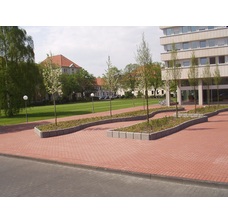 Изображение 9 Клинкерная брусчатка Hagemeister Westfalen drain pavers - 200х100х50 мм