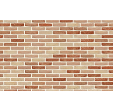 Плитка ручного формування Nelissen MAGNOLIA, 215*65*20 мм