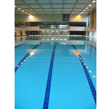 Изображение 4 Плитка для бассейнов Interbau Blink Бассейн в спортивном комплексе Шарлеруа