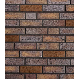 Клінкерна цегла Roben Tonbaustoffe BRADFORD erz-bunt