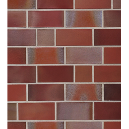 Клінкерна цегла Roben Tonbaustoffe GREETSIEL 2DF friesisch-bunt glatt